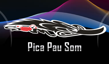 Logo Pica Pau